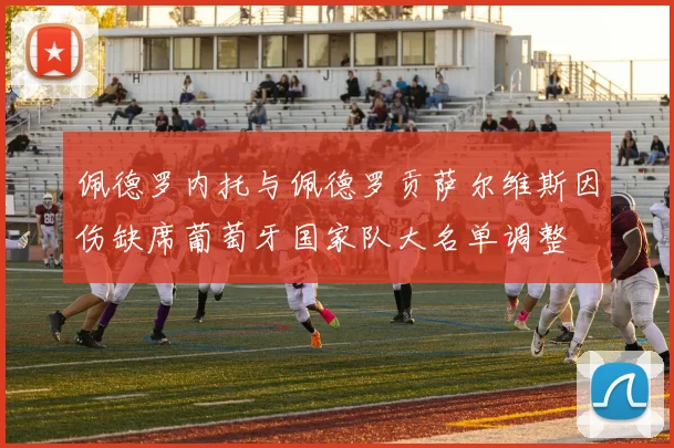 佩德罗内托与佩德罗贡萨尔维斯因伤缺席葡萄牙国家队大名单调整