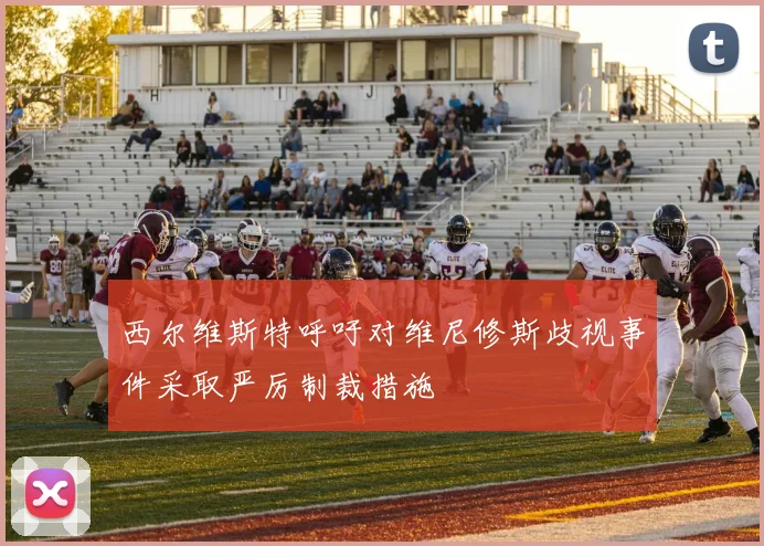 西尔维斯特呼吁对维尼修斯歧视事件采取严厉制裁措施