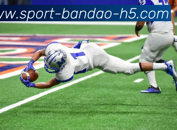 半岛体育APP 封面图