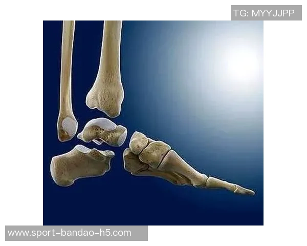 弗兰克谈小卡伤情揭示脚踝问题背后的复杂性与脚部损伤情况 弗兰克谈小卡伤情揭示脚踝问题背后的复杂性与脚部损伤情况